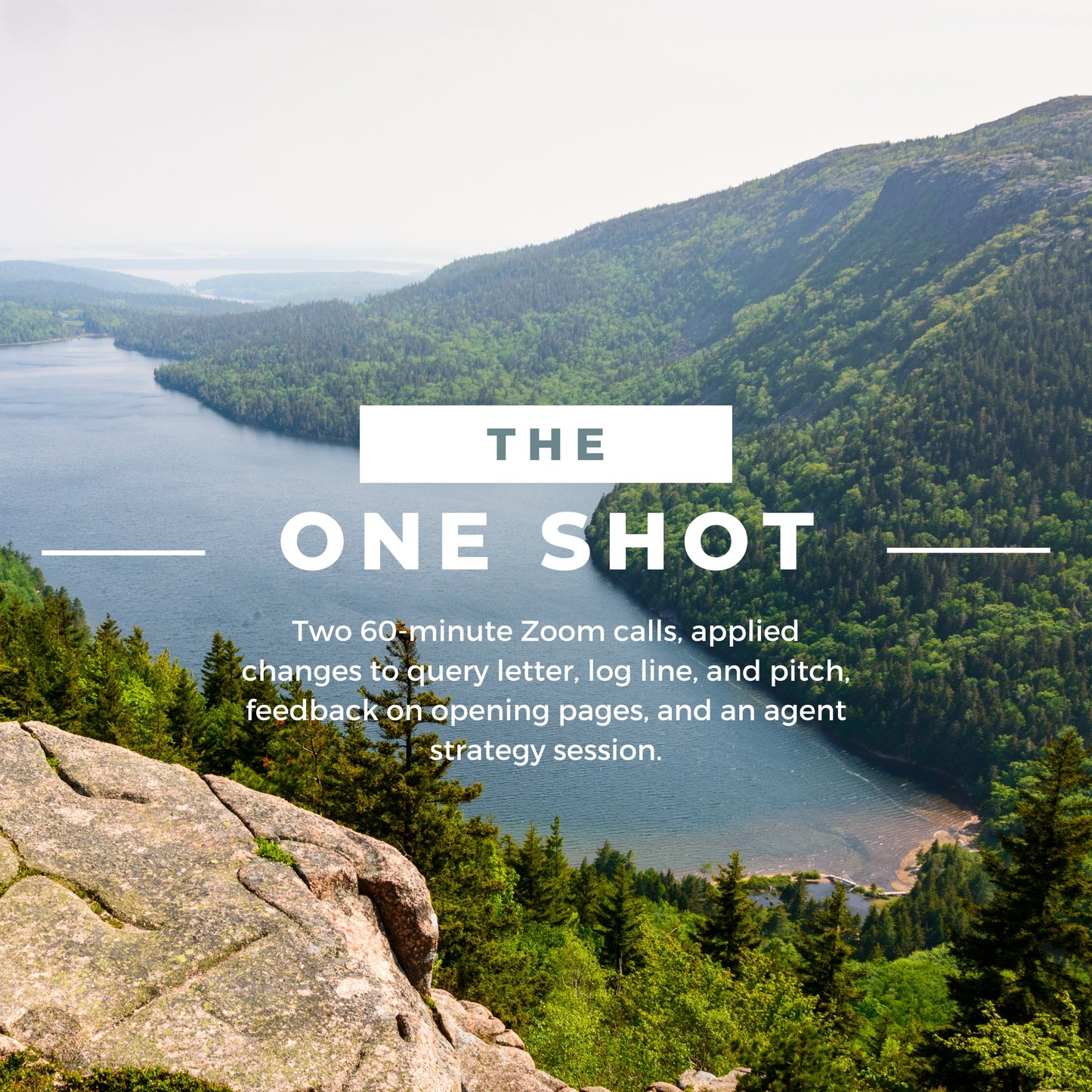 The One Shot